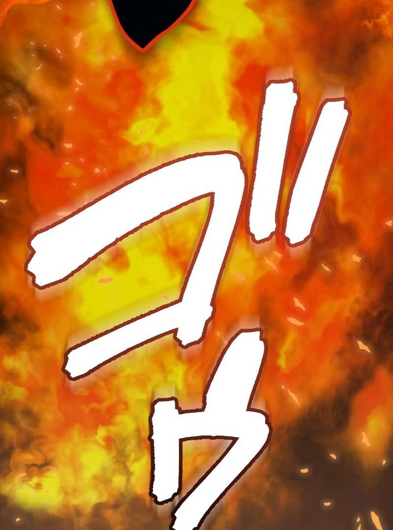 67008431 800 1080 121674